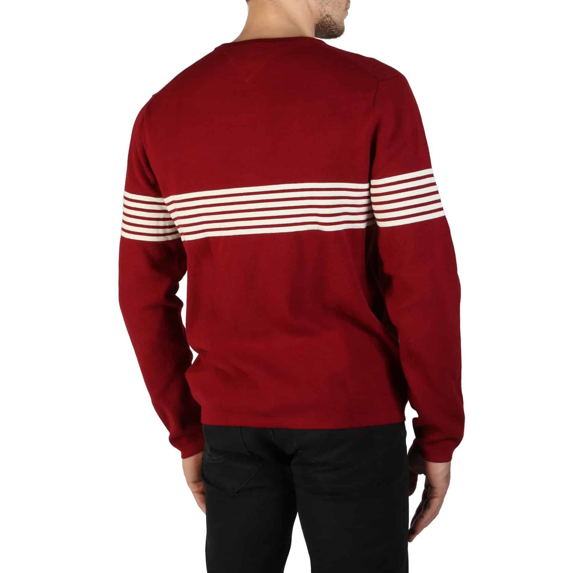 Tommy Hilfiger Sweaters - Fizigo